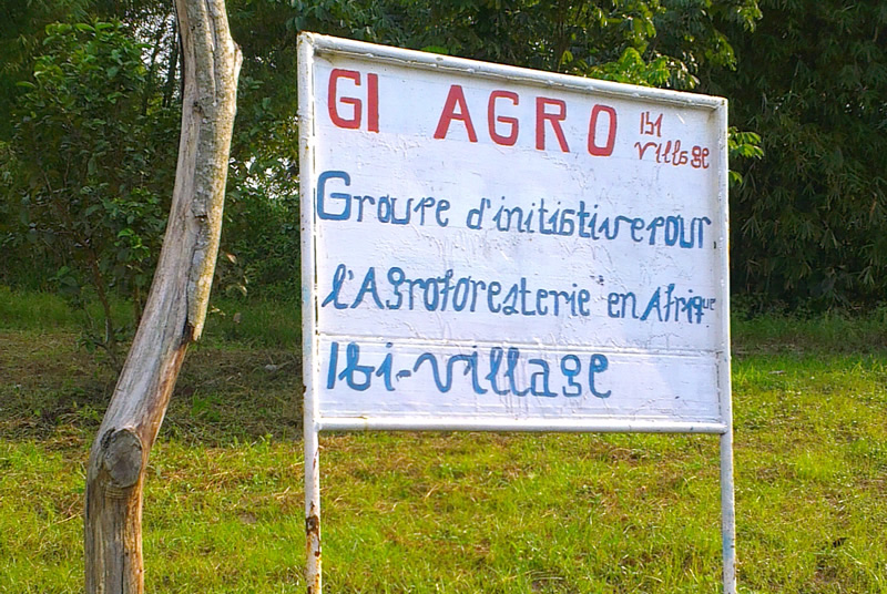 L'agroforesterie, pour lutter contre la déforestation et la pauvreté 