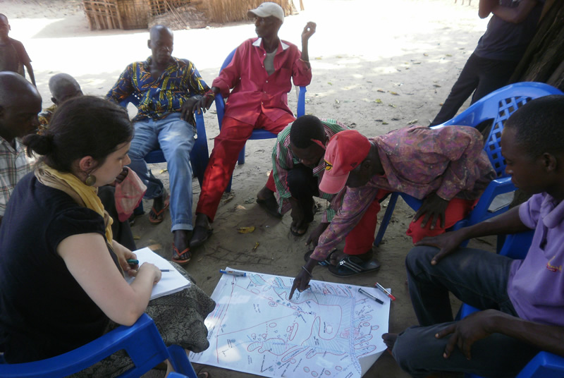 L'agroforesterie, pour lutter contre la déforestation et la pauvreté