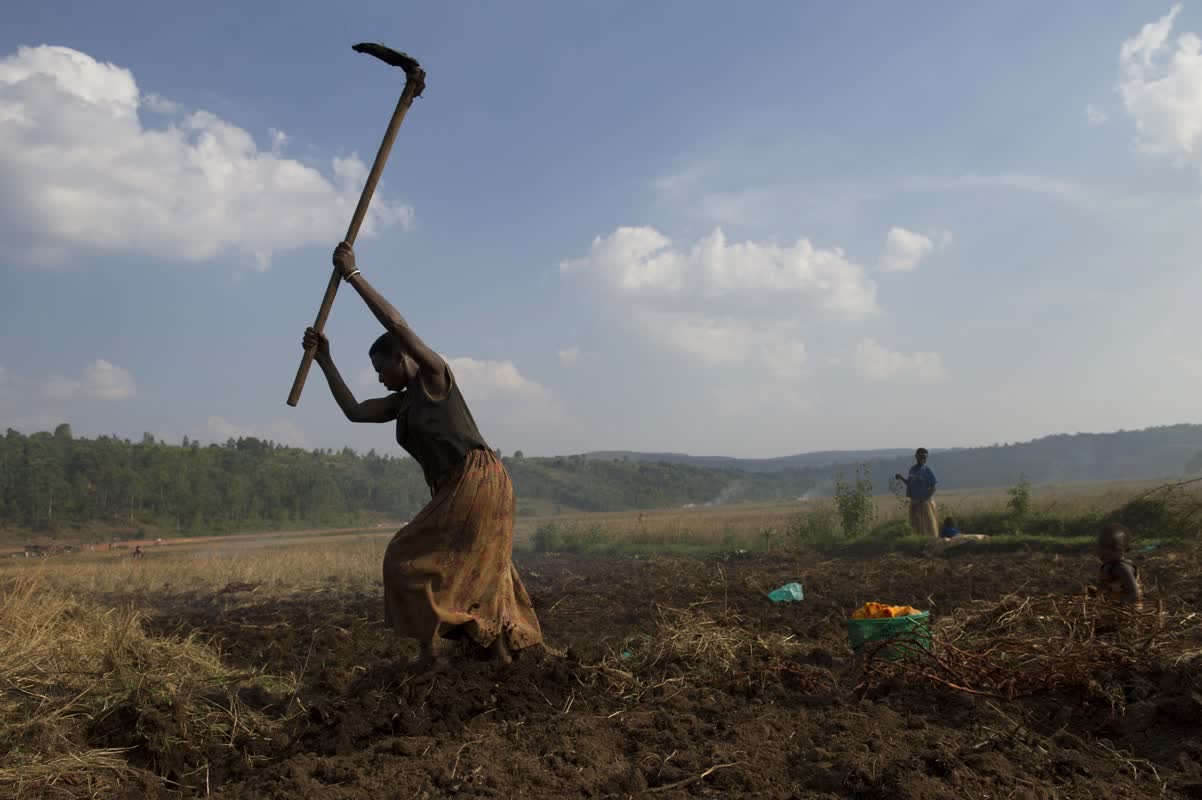 Une agricultrice burundaise dans un champs près de Ngozi dans le nord du Burundi