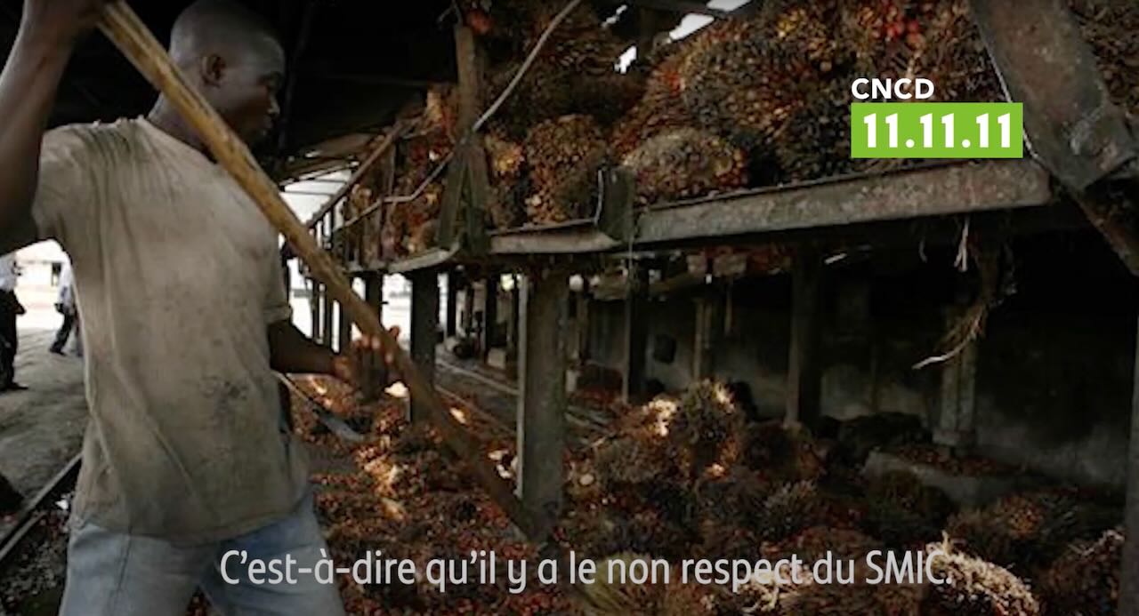 Feronia ou les errements de coopération belge