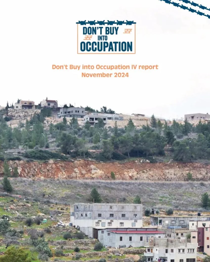 Don't buy into occupation IV - Report 2024