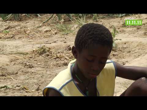 Burkina Faso. Réchauffement climatique et agro-écologie