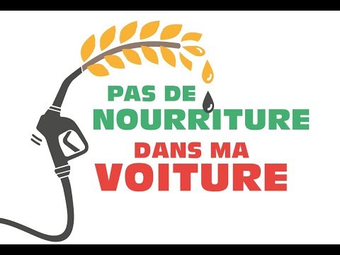 Pas de nourriture dans ma voiture