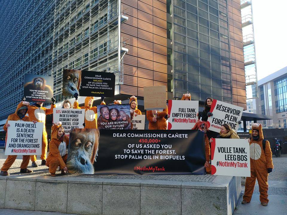 Action « L'huile de palme dans nos réservoirs tue » devant la Commission européenne le 20/01/19 à Bruxelles