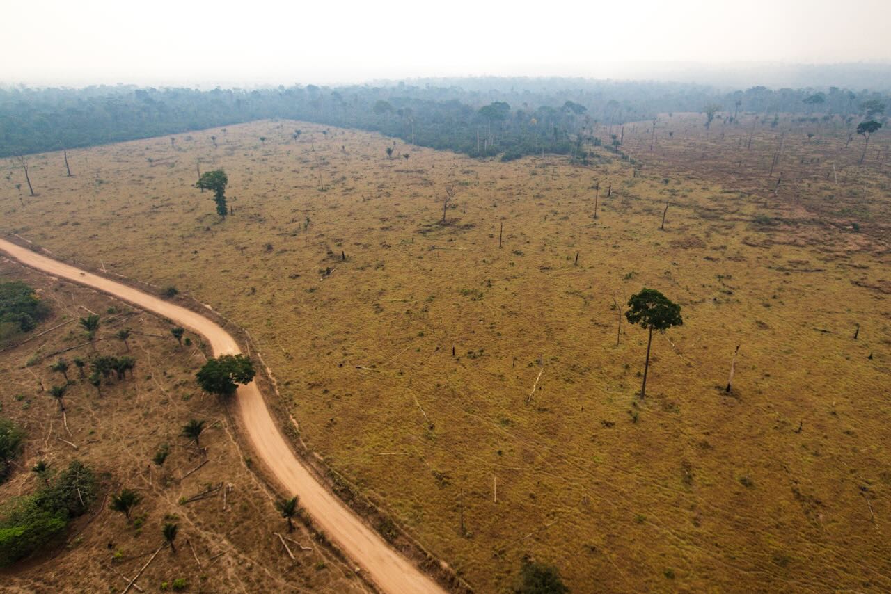 Pâturages issus de la déforestation illégale près de la terre indigène de Menkragnoti. Pará - Brésil
