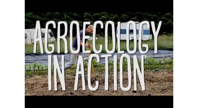 Agroecology In Action