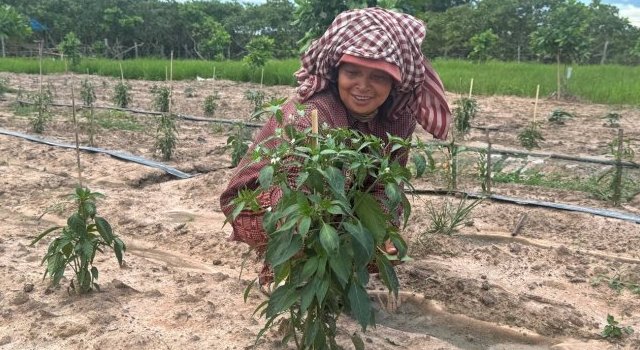 Chorn Sang, agricultrice, bénéficiaire d'un projet de promotion de l'agroécologie, au Cambodge