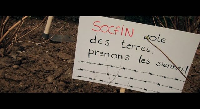 Action contre Socfin (groupe Bolloré) : stop aux accaparements de terres