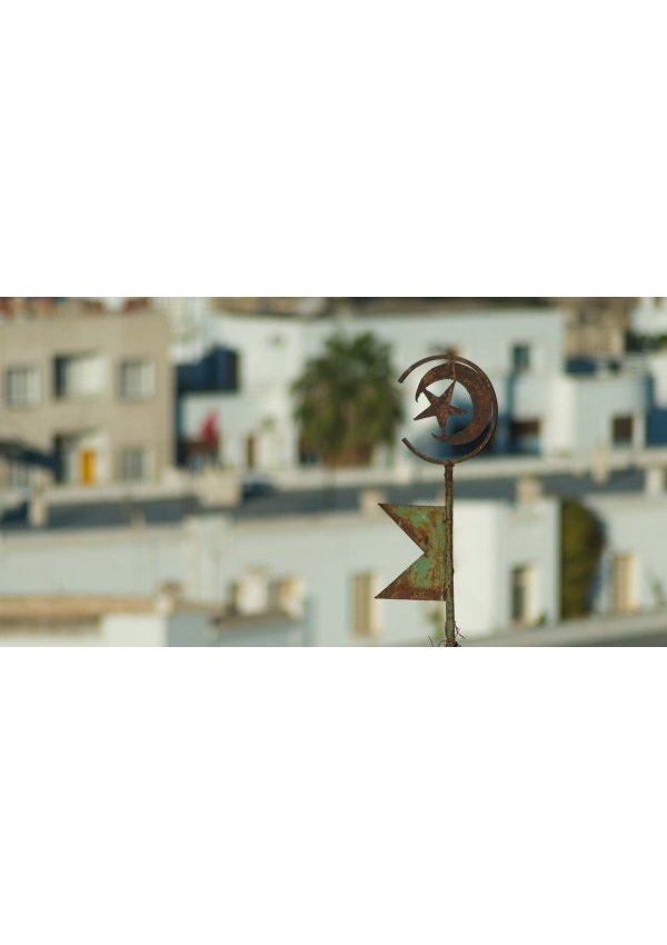 Position commune ALECA UE-Tunisie