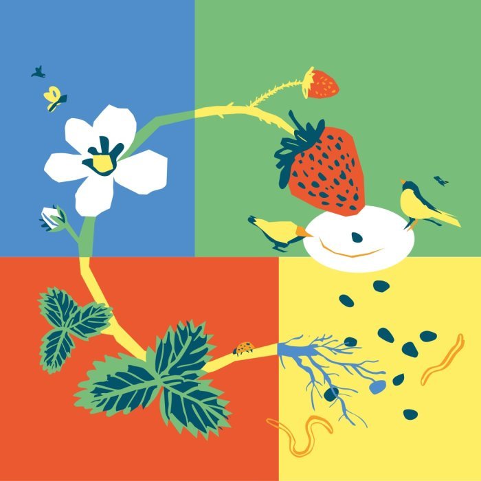 Découvrez la mallette pédagogique « Systèmes alimentaires justes et durables »