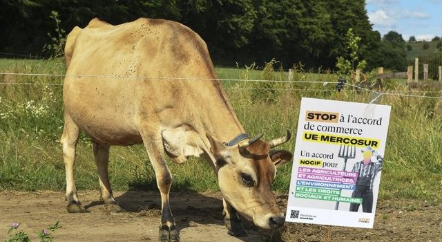 Stop à l'accord UE-Mercosur