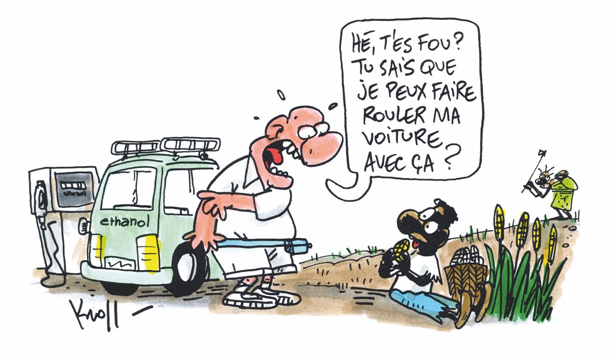 La Belgique retire l'huile de palme et le soja des réservoirs de nos voitures