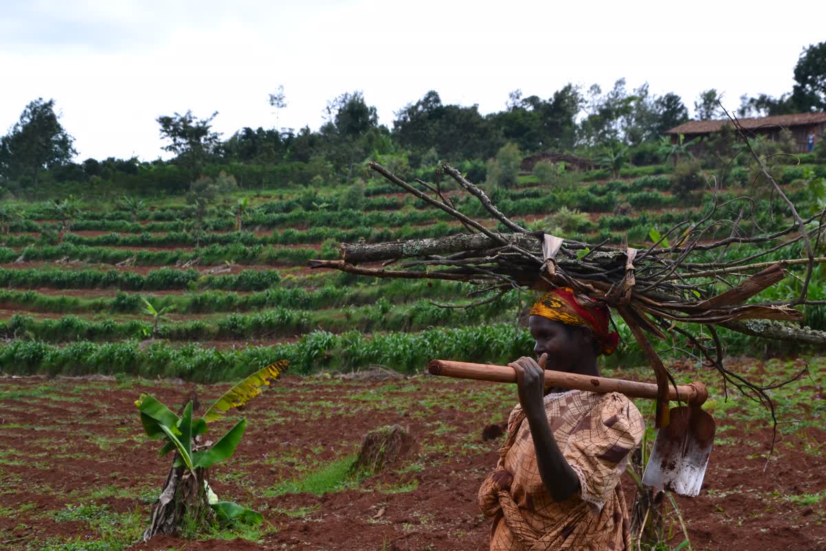 Face a la catastrophe climatique, soutenez la transition agro-ecologique au...