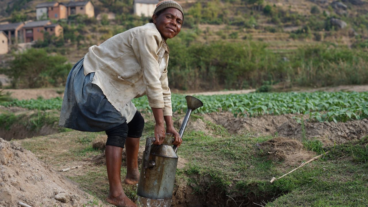 Madagascar : contribuer à la souveraineté alimentaire par la promotion des pratiques agricoles durables et le renforcement de la participation citoyenne