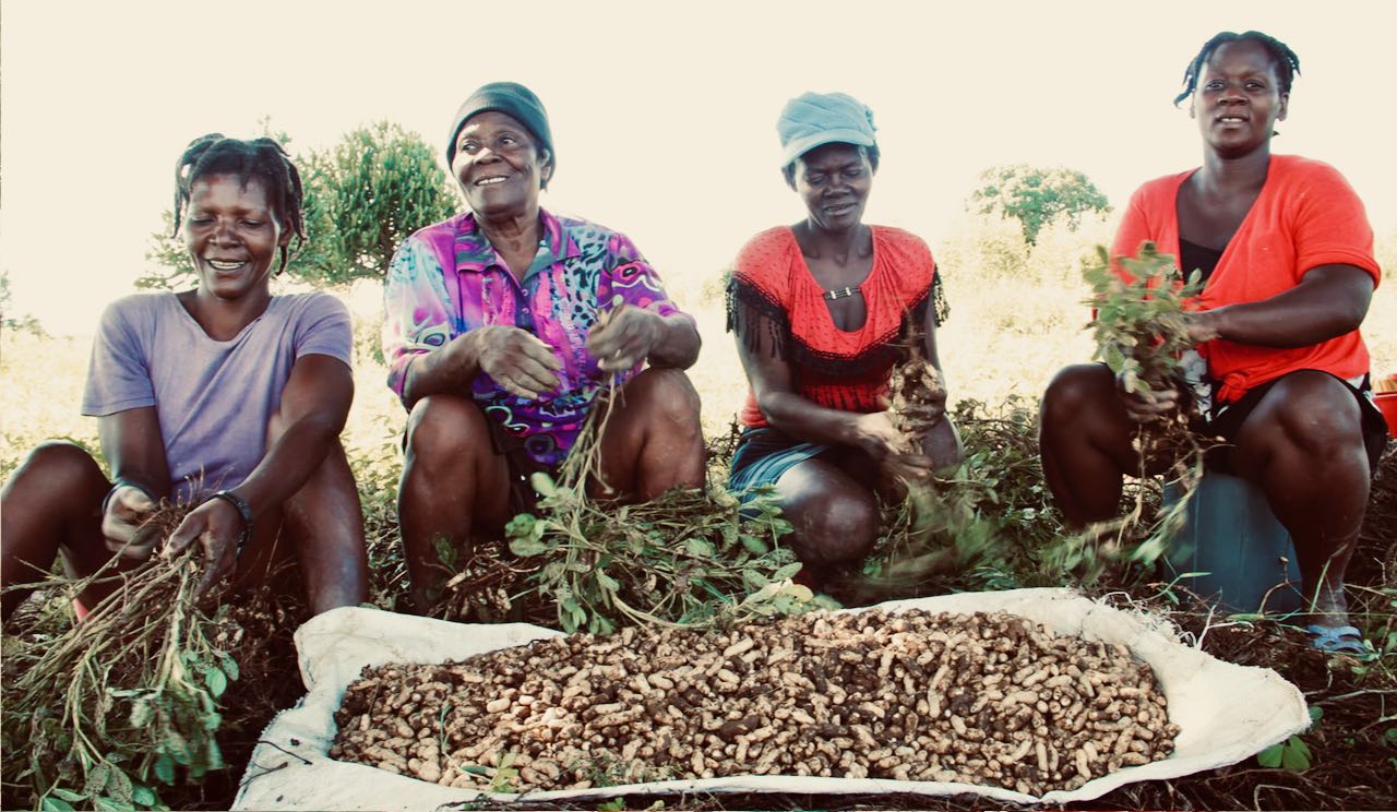Groupement de femmes du Mouvement Paysan Papaye (MPP)