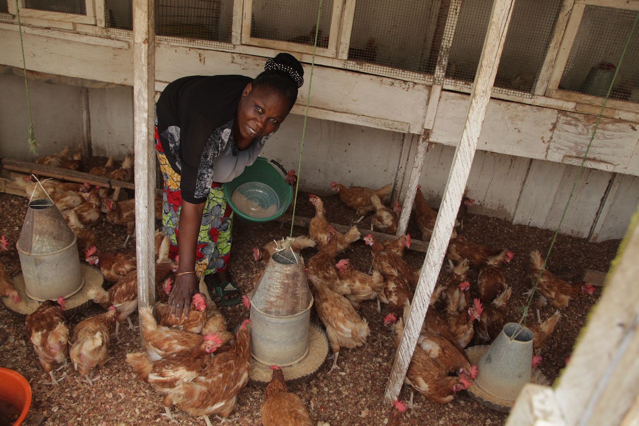 Avec son projet de ferme-école agroécologique, le CENADEP vise à former à l'élevage des jeunes et des femmes