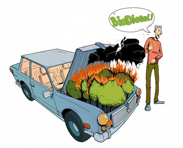 La Belgique doit exclure les biocarburants produits à partir de nourriture