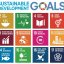 Agenda 2030 : premier bilan de la mise en œuvre des Objectifs de...