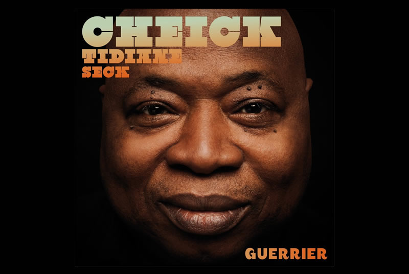 Cheick Tidiane Seck, le guerrier malien