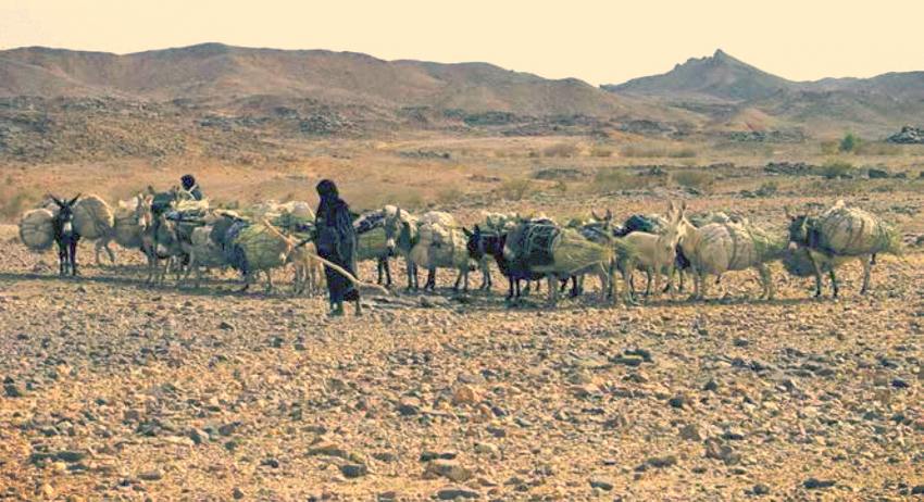 Le Niger et ses terres arides 