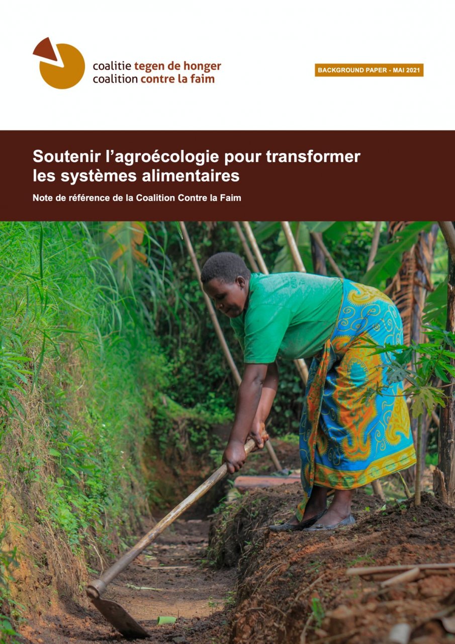Soutenir l'agroécologie pour transformer les systèmes alimentaires